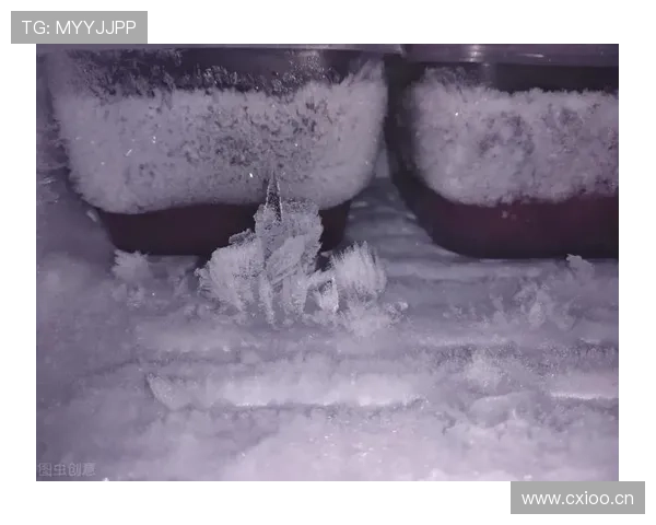 李宗伟家的冰箱里居然塞满冰块，不是用来喝饮料的