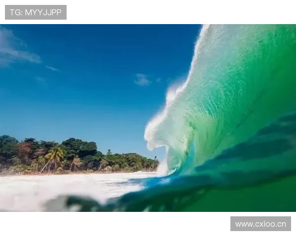 巴拿马会成为L组最大黑马吗? 巴拿马会成为L组最大黑马吗?